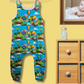 Baby Romper